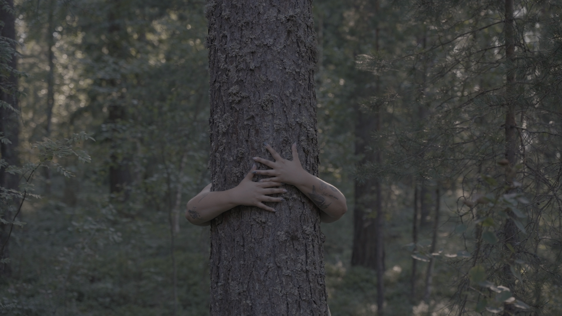 hormonal silence film