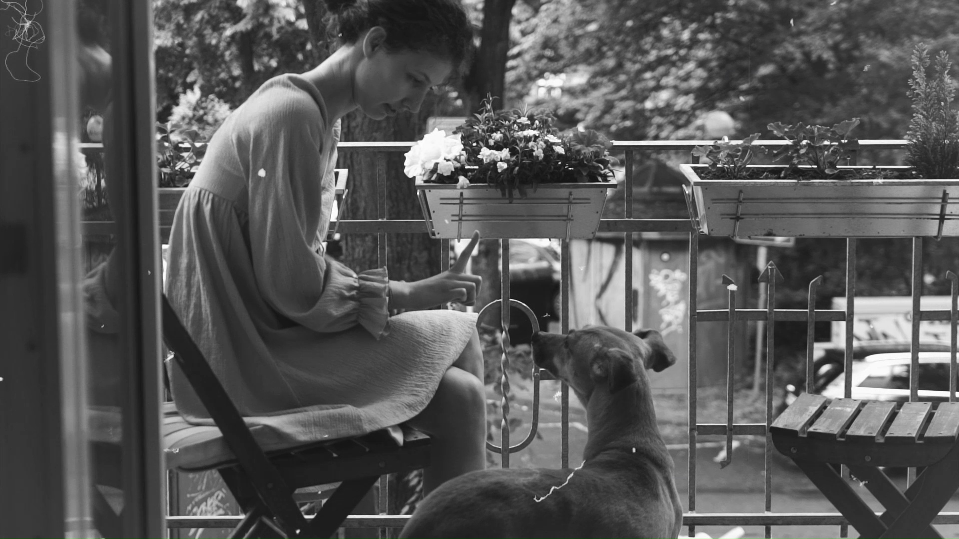 Immortal Dog Paul Riemann