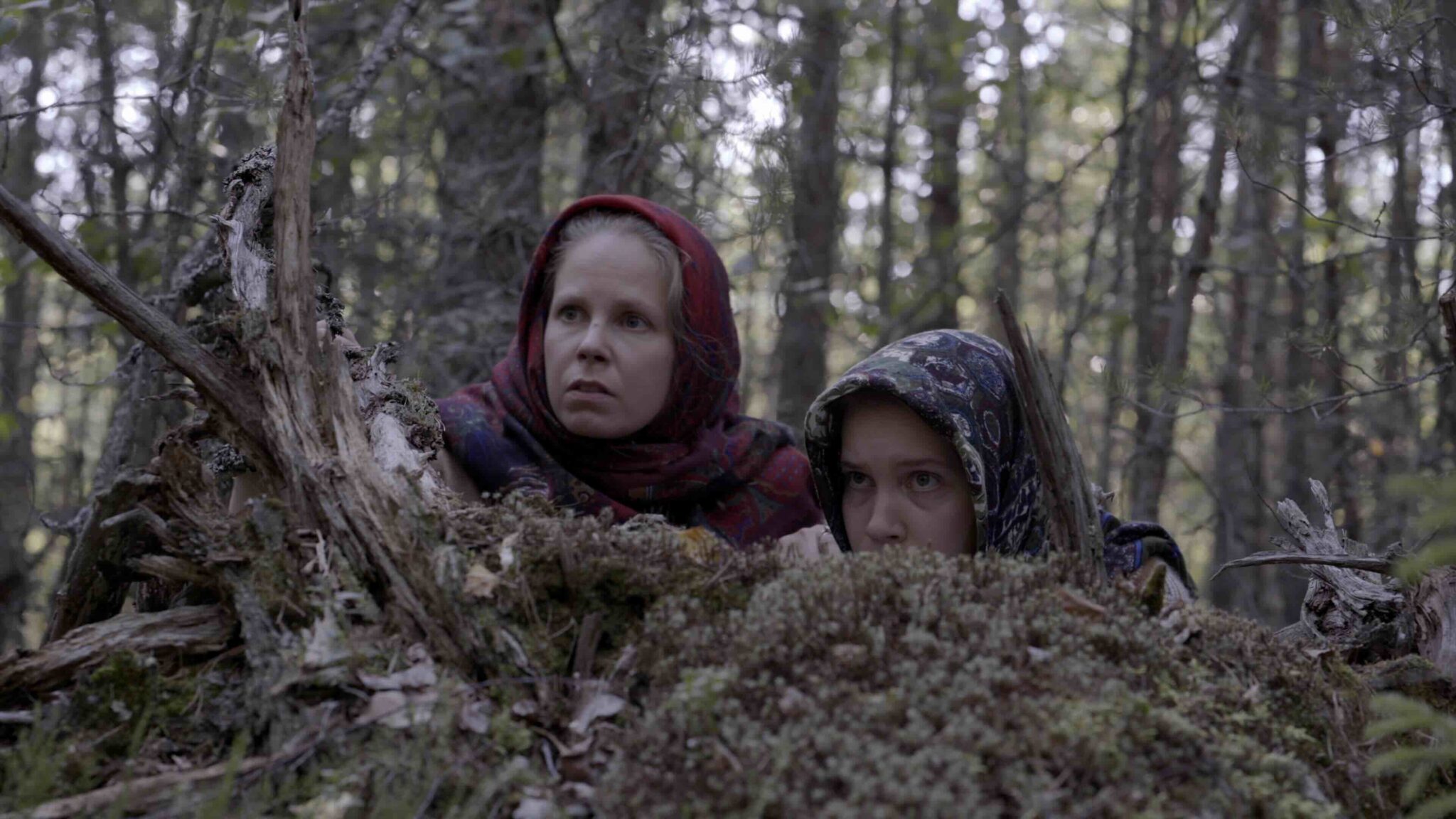 Forest ´s cover_stillkuva_2